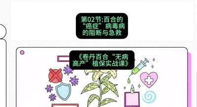 第02节：百合的&ldquo;癌症&rdquo;&mdash;&mdash;病毒病的阻断与急救，课程：《卷丹百合&ldquo;无病高产&rdquo;植保实战课》#识农AI