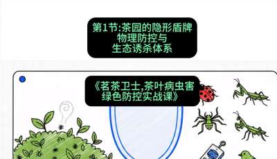 第01节：茶园的&ldquo;隐形盾牌&rdquo;&mdash;&mdash;物理防控与生态诱杀体系，课程：《茗茶卫士&mdash;&mdash;茶叶病虫害绿色防控实战课》#识农AI