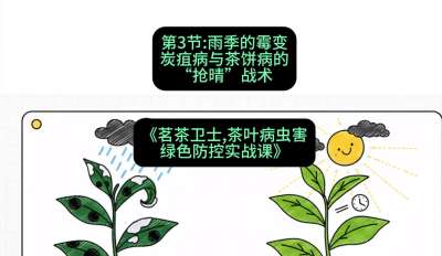 第03节：雨季的霉变&mdash;&mdash;炭疽病与茶饼病的&ldquo;抢晴&rdquo;战术，课程：《茗茶卫士&mdash;&mdash;茶叶病虫害绿色防控实战课》#识农AI