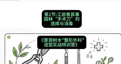 第01节：工欲善其事&mdash;&mdash;园林&ldquo;手术刀&rdquo;的选择与消毒，课程：《景观树木&ldquo;整形外科&rdquo;造型实战特训营》#识农AI