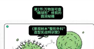 第02节：万物皆可盘&mdash;&mdash;&ldquo;精球形&rdquo;修剪的圆润秘籍，课程：《景观树木&ldquo;整形外科&rdquo;造型实战特训营》#识农AI
