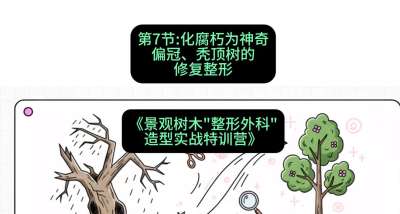 第07节：化腐朽为神奇&mdash;&mdash;偏冠、秃顶树的修复整形，课程：《景观树木&ldquo;整形外科&rdquo;造型实战特训营》#识农AI