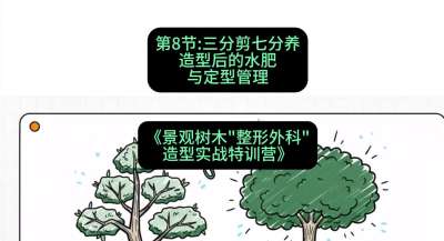 第08节：三分剪七分养&mdash;&mdash;造型后的水肥与定型管理，课程：《景观树木&ldquo;整形外科&rdquo;造型实战特训营》#识农AI