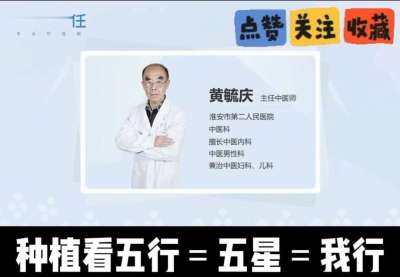 中药材淫羊藿怎么种？听专家一次讲明白！不挑地块好管理，耐寒耐旱省心省力，新手也能轻松上手，药用价值高、市场需求稳，妥妥的增收好品种～ 从生长习性到采收要点，干货满满无废话，种植疑问直接问，一对一答疑解