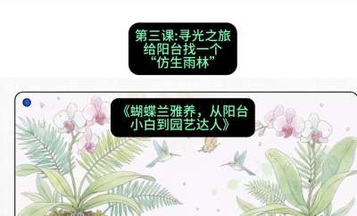 第三节：寻光之旅：给阳台找一个&ldquo;仿生雨林&rdquo;，课程：《蝴蝶兰雅养六讲：从阳台小白到园艺达人》#识农AI