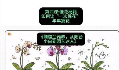 第四节：催花秘籍：如何让&ldquo;一次性花&rdquo;年年复花，课程：《蝴蝶兰雅养六讲：从阳台小白到园艺达人》#识农AI