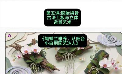 第五节：脱胎换骨：古法上板与立体造景艺术，课程：《蝴蝶兰雅养六讲：从阳台小白到园艺达人》#识农AI