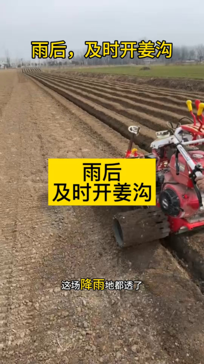雨后，及时开姜沟！