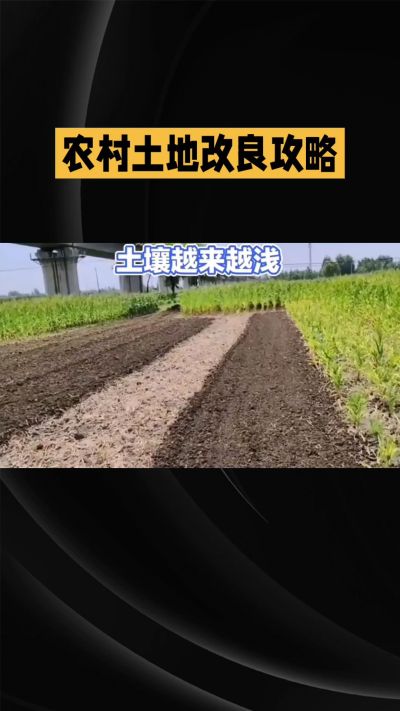 1. 先搞懂：你到底要改良哪块地、种什么
 
- 土土土在哪里？
就是你自家农田、菜地、果园，哪块地想种庄稼，就测哪块地的土。
​
- 有水没有水？
有水能浇：改良更省事，施肥、调酸碱都好操作。
没水