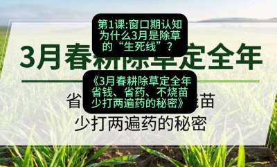 第1节：窗口期认知，为什么3月是除草的&ldquo;生死线&rdquo;？，课程：《3月春耕除草定全年：省钱、省药、不烧苗、少打两遍药的秘密》