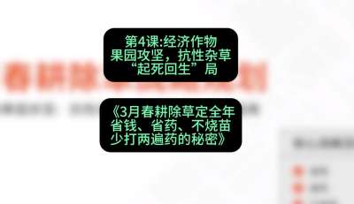 第4节：经济作物果园攻坚，抗性杂草&ldquo;起死回生&rdquo;局，课程：《3月春耕除草定全年：省钱、省药、不烧苗、少打两遍药的秘密》